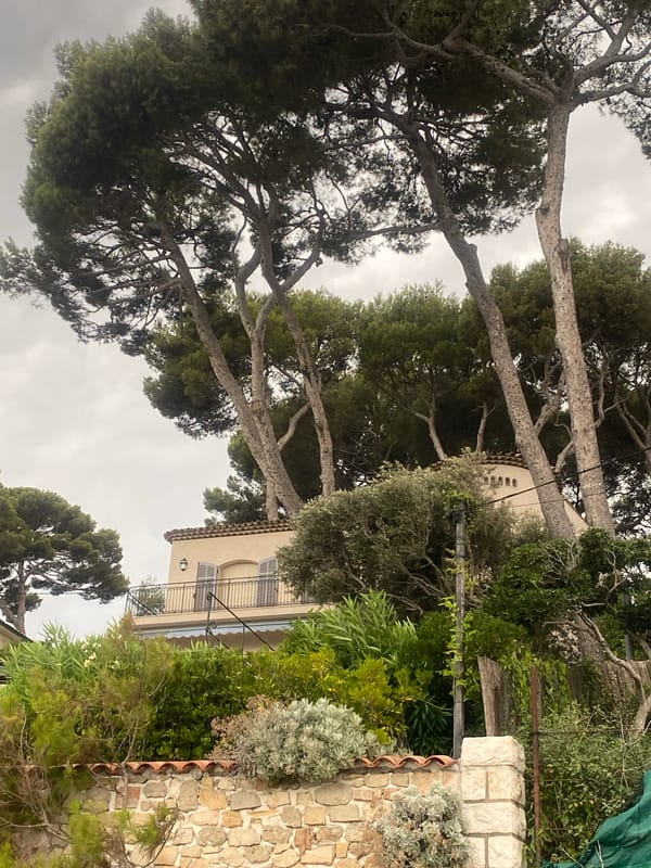 Antibes coastline: rocky shores, pines, and seaside villas on a grey afternoon