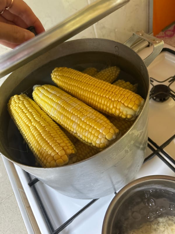 Summer day in Gelendzhik: home cooking, gardens, and city streets