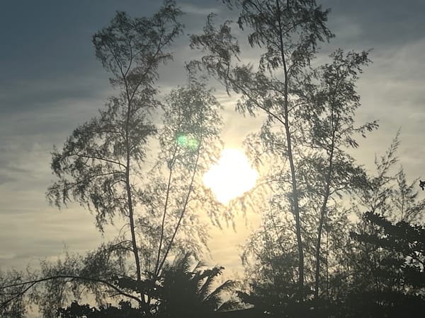 Morning coastal scenes documented across Koh Phangan beaches