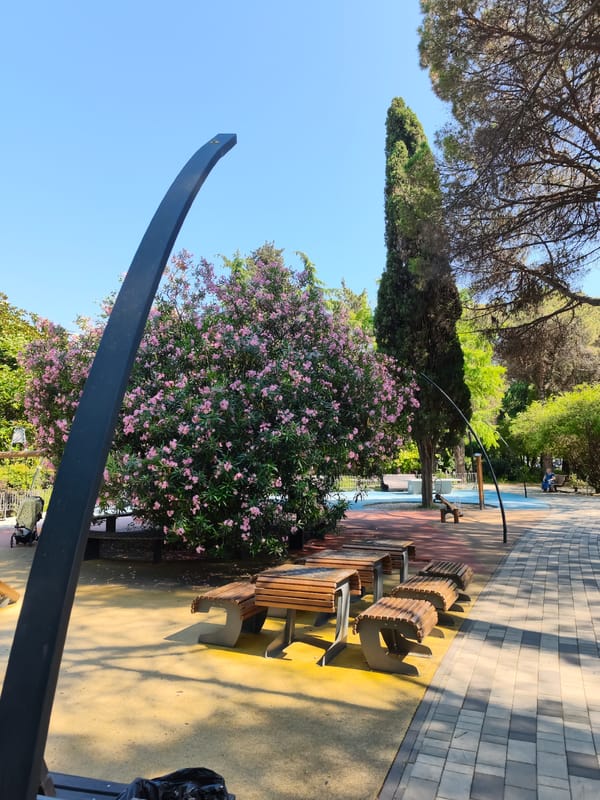 Sunny afternoon at a Sochi park with playground and chess table