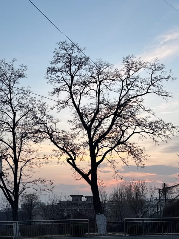 Morning life documented in Zhongtun: scooters, sports, construction