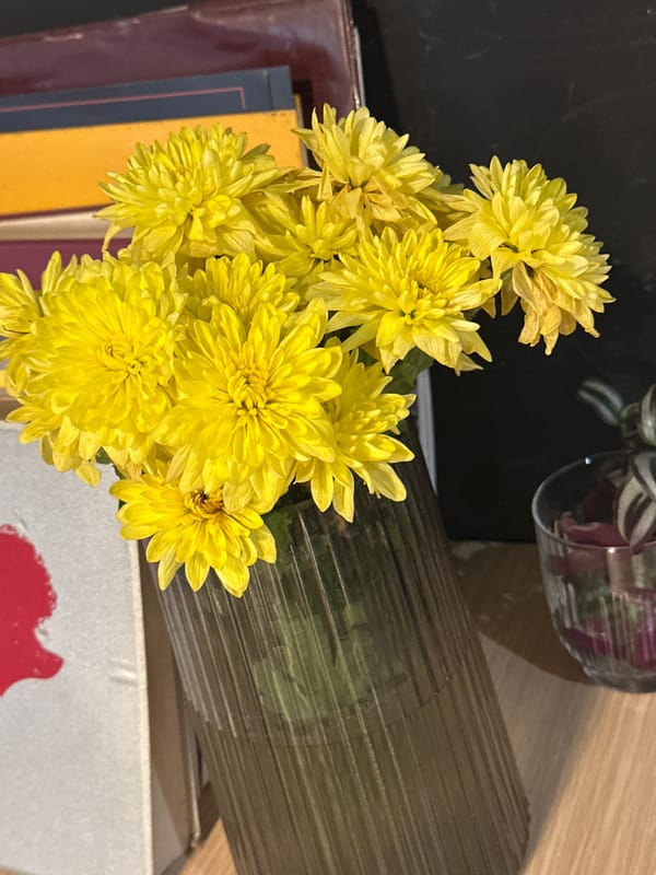 Everyday moments captured across Novi Sad: flowers, selfie, gym