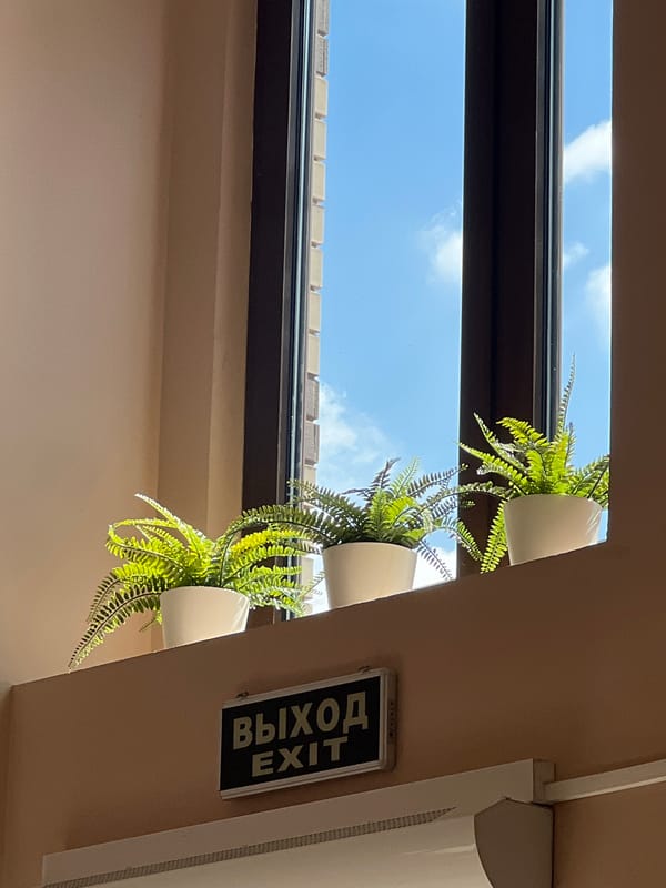 Moscow morning: indoor greenery and a parked electric scooter