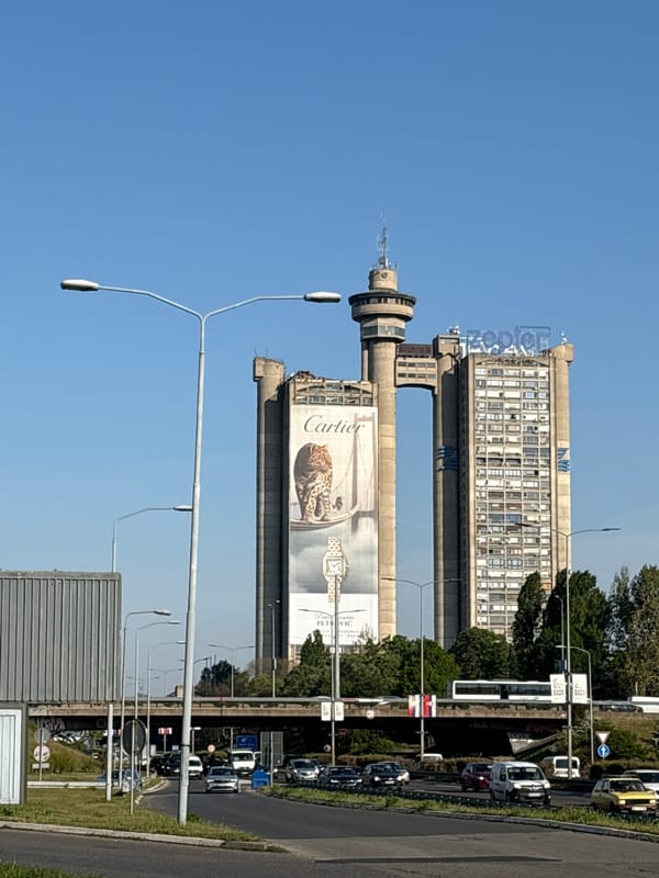 Morning documentation of Belgrade's Genex Tower and street cats
