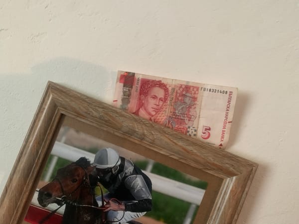 Collector documents currency and coins in personal display storage