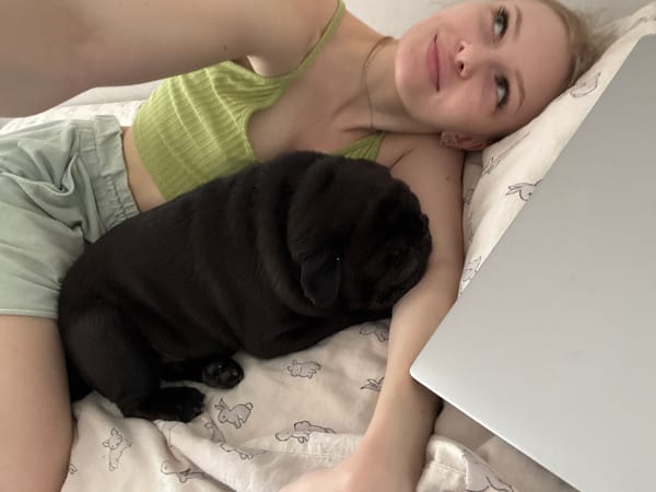 Lazy afternoon in Perm with a sleeping black pug