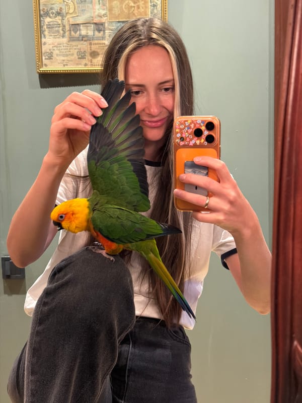 Woman documents spring afternoon with pet parrot in Khimki