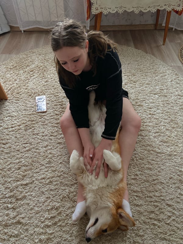 Family documents pet playtime and basement flooding in Chaikovsky