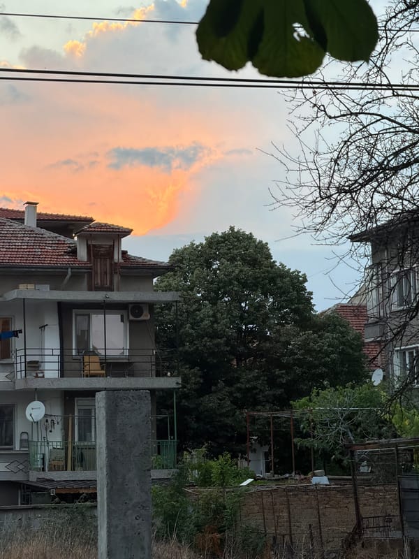 Sunset sky over urban rooftops, power lines, and trees