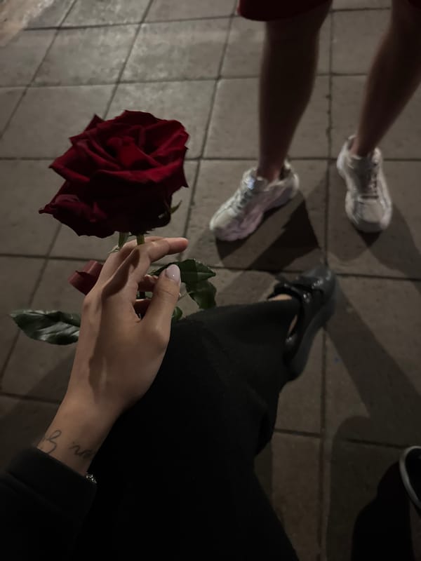 Person holds red rose on Sofia sidewalk