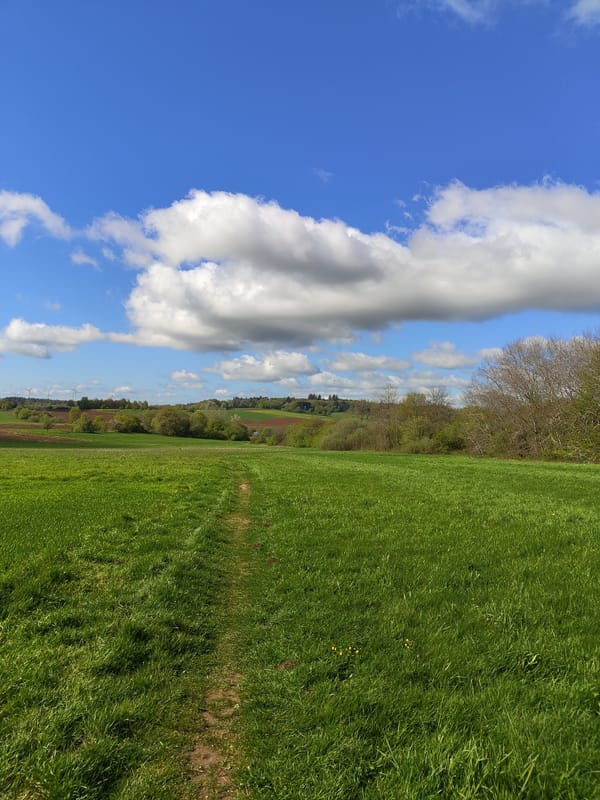 Morning countryside walk documented in Mettlach, Germany