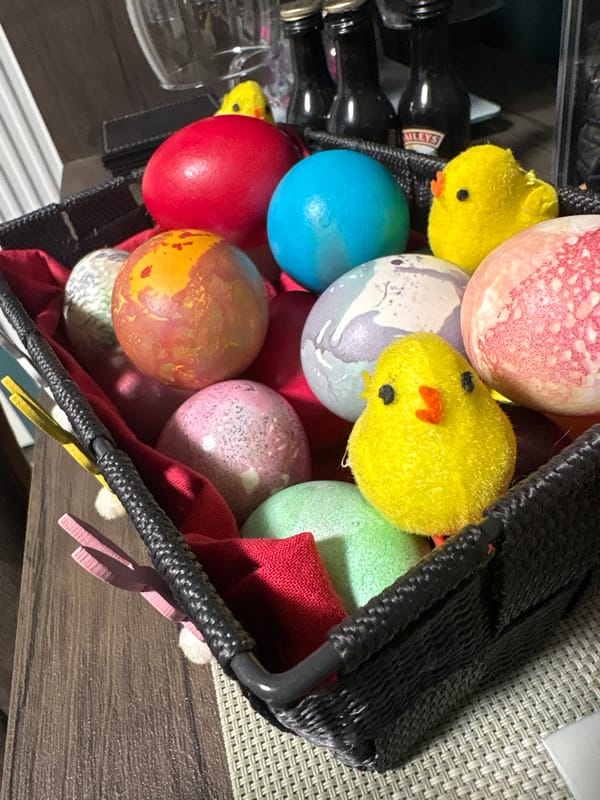 Easter basket with painted eggs and chicks spotted in Netherlands