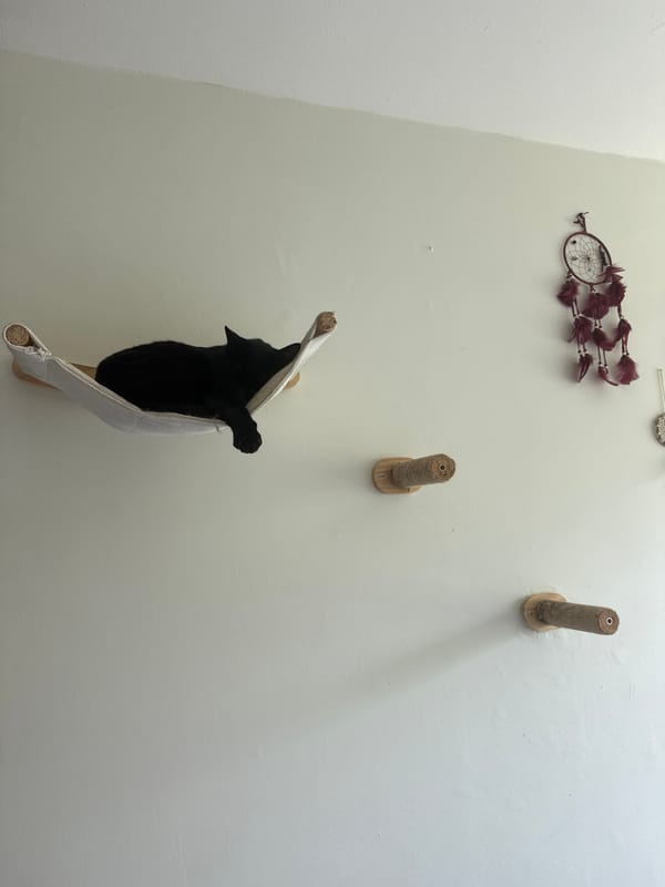 Indoor living space documented in Cuernavaca home