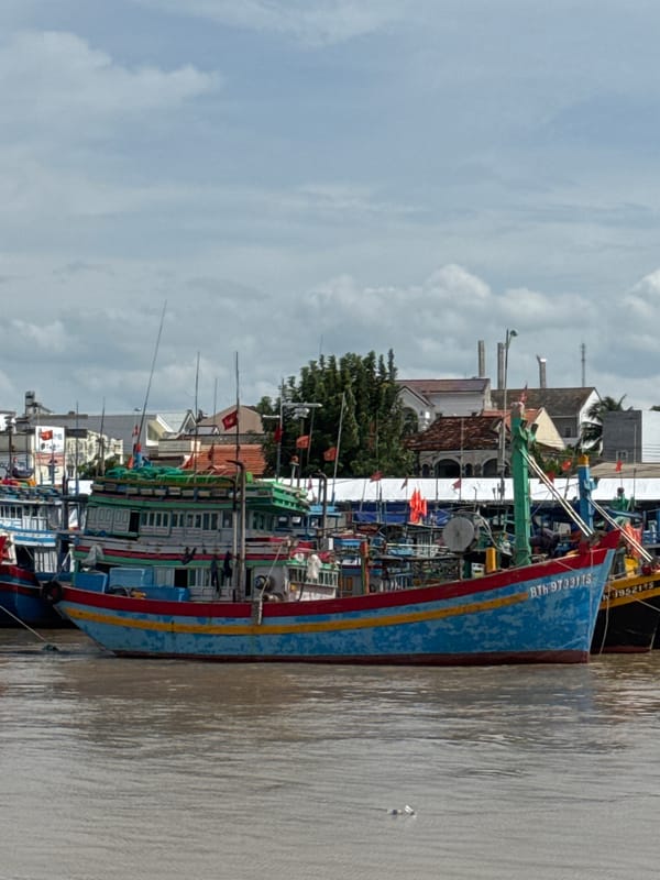 Phan Thiết fishing fleet moored in a packed harbor