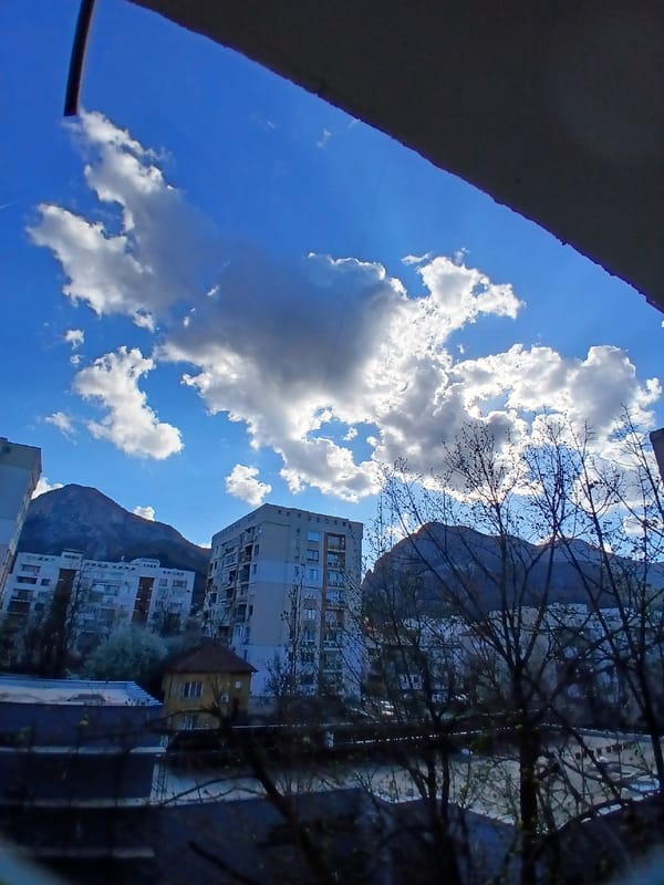 Spring blooms documented in Vratsa, Bulgaria
