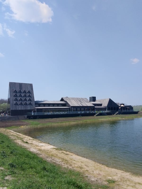 Modern dark wood lakeside building with triangular features observed