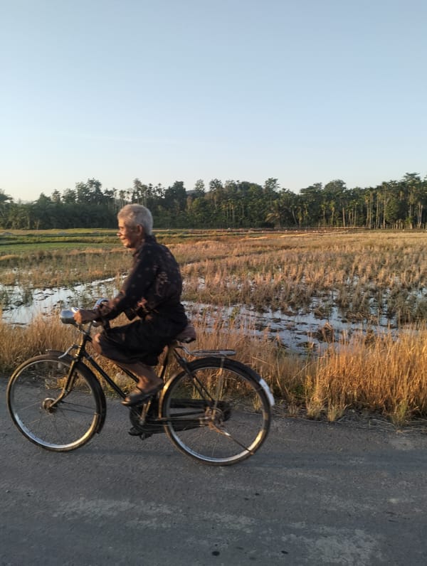 Sunset over rice paddies and rural roads in Meunasahalue