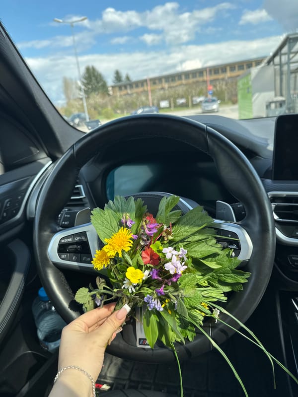 Wildflower bouquet spotted in car interior in Targovishte
