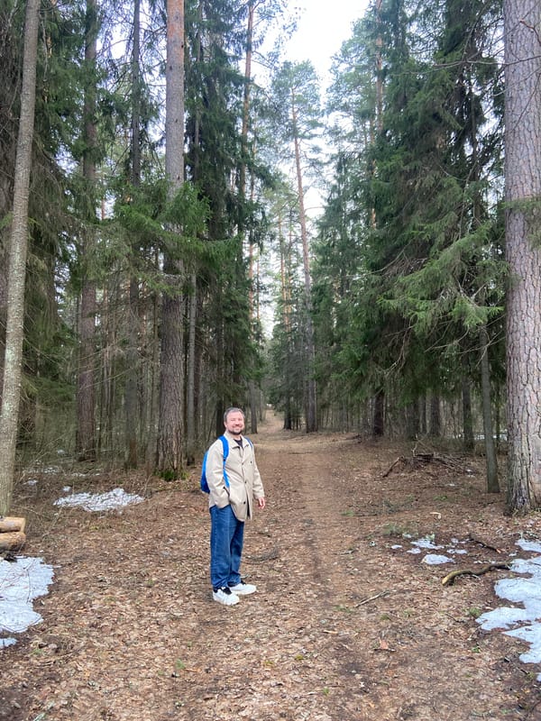 Man walks forest path in Noviy, Russia