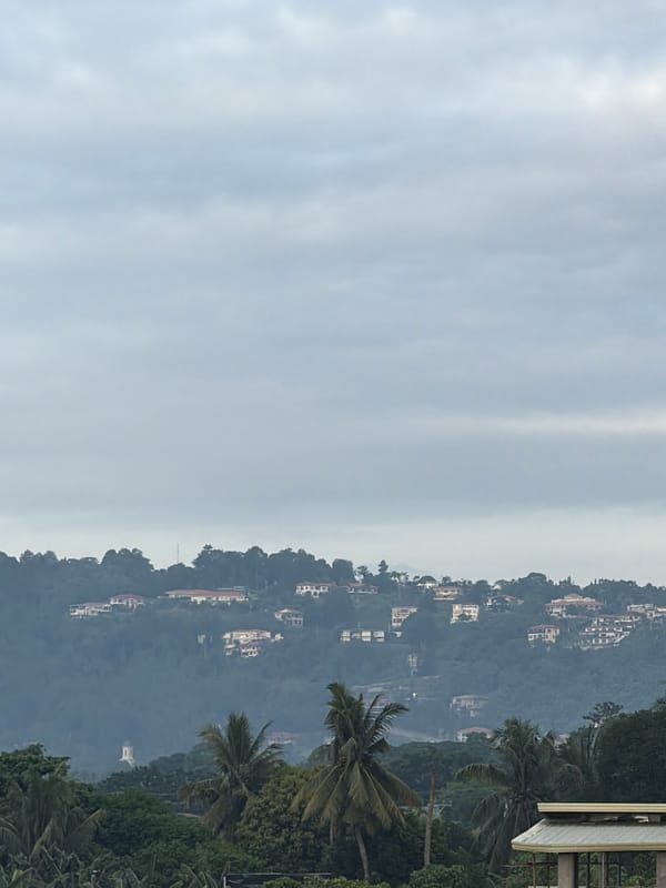 Dense hillside neighborhood in Davao City, rooftops and all