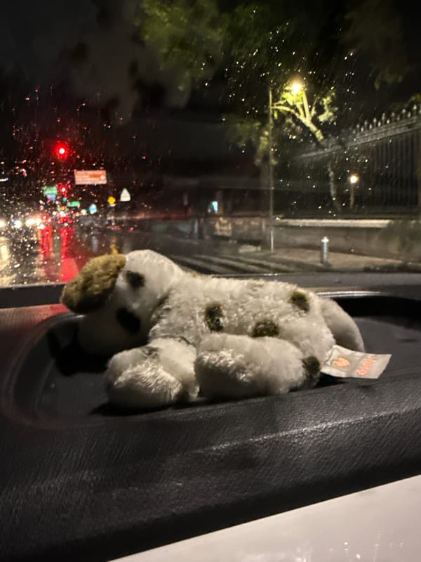 Plush dog toy spotted in moving vehicle window, Mexico City