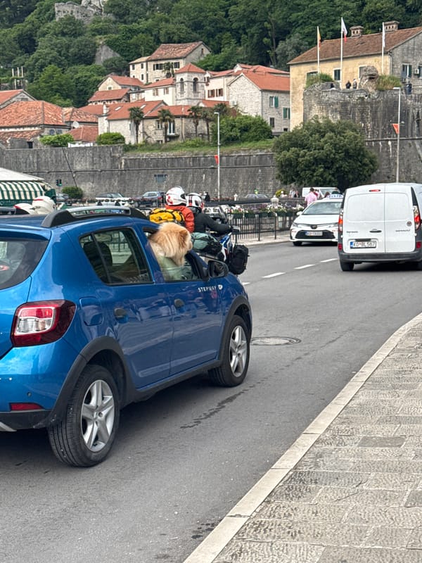 Ordinary afternoon street life documented in Kotor, Montenegro