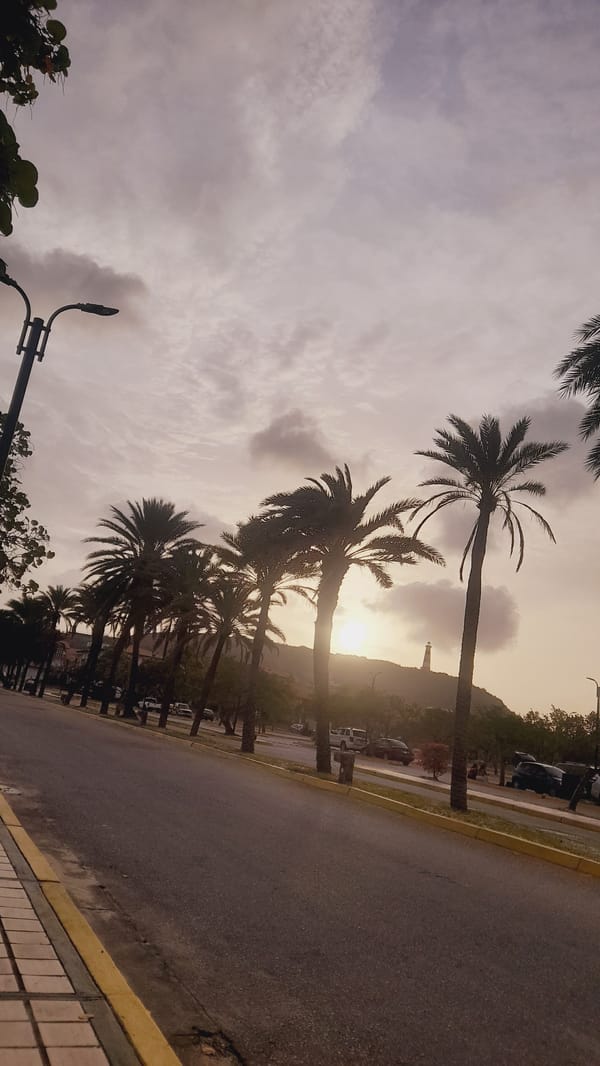 Sunset documented along palm-lined road in Pedro González, Venezuela
