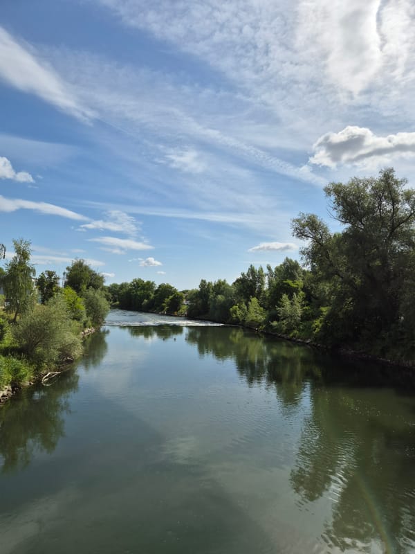 Morning river walk documented through 17 photographs in 28 minutes