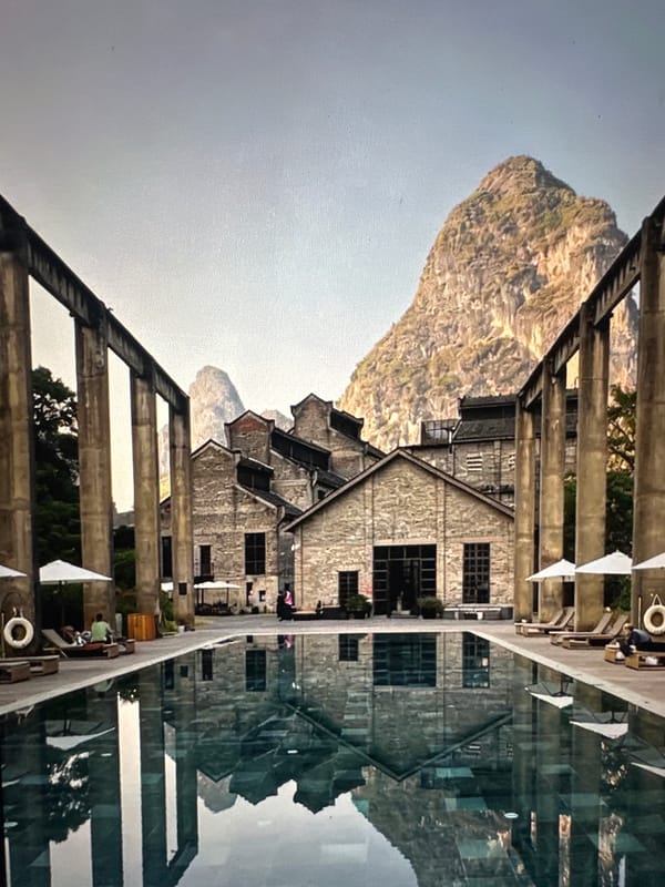 Lifestyle snapshots: pools, a Pomeranian, and city rooftops