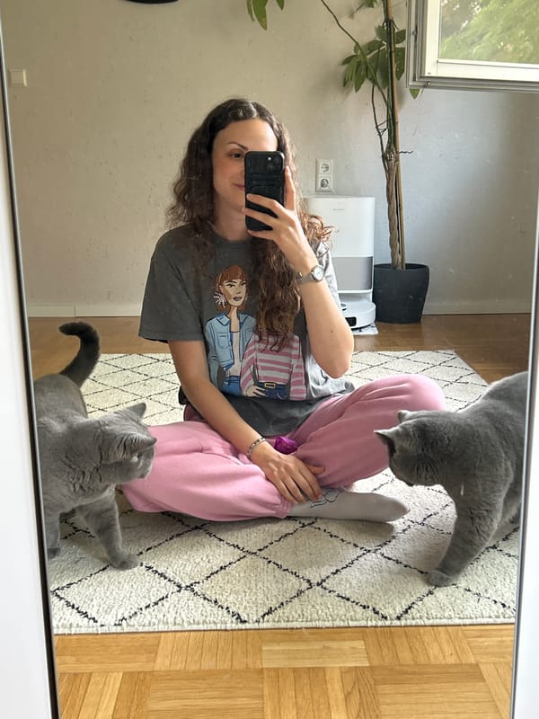 Person feeds treats to two cats in Heilbronn home
