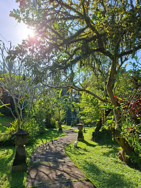 Morning garden walk documented at Villa Singakerta, Ubud