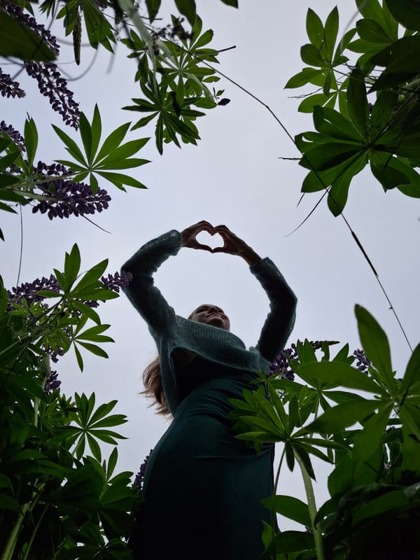 Woman photographs herself in lupine field near Chaikovsky, Russia