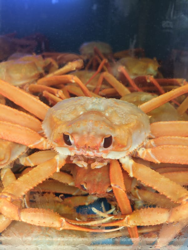 Early morning street life documented in Ulsan, South Korea