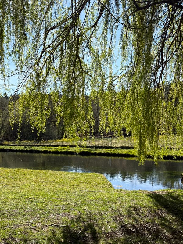 Man enjoys sunny afternoon outdoors in Vila Real, Portugal