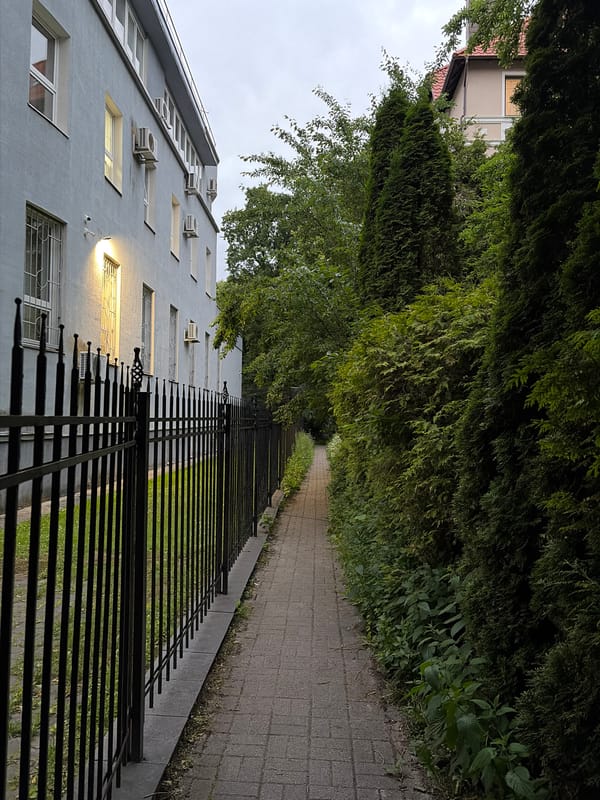 Street-level textures and details from an Eastern European urban neighborhood
