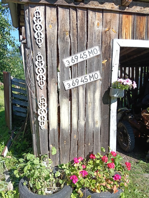 A Russian village garden in full summer bloom
