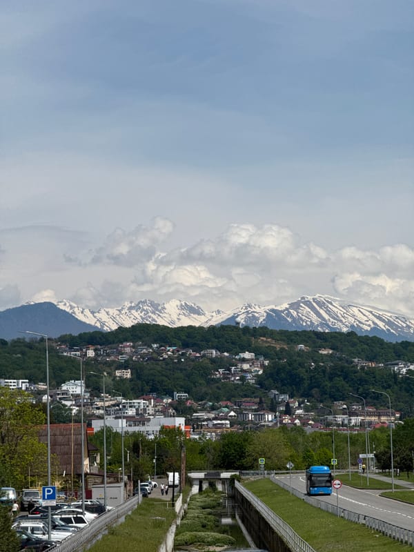 Cityscape documented in Sirius, Russia beneath snowy mountains