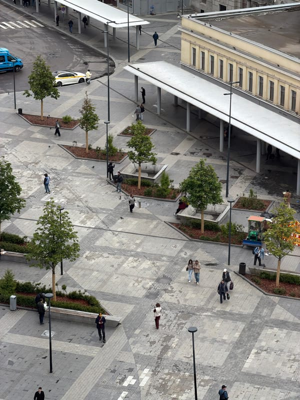 Moscow shopping displays and decorative arrangements documented by single witness