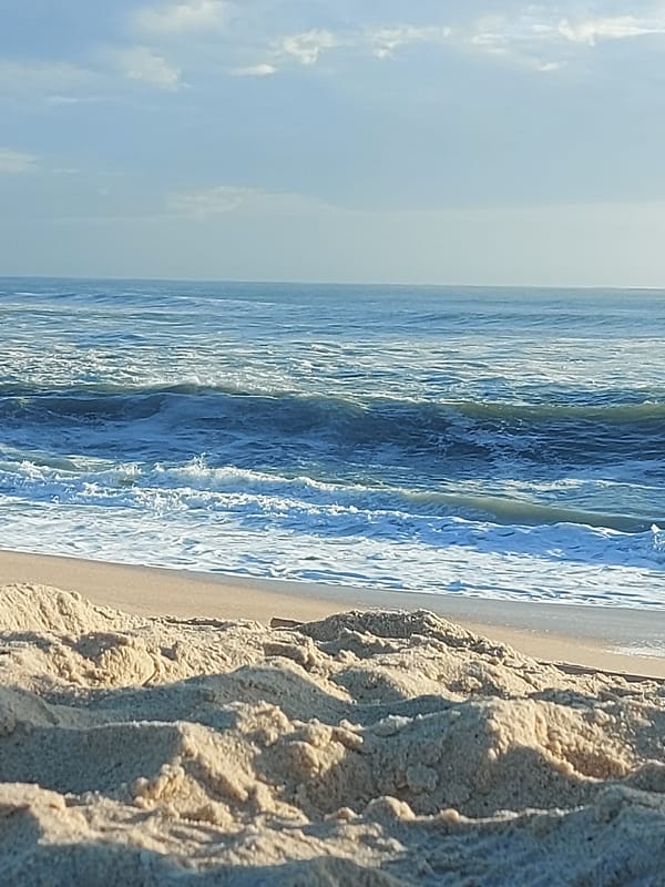 Beachgoers gather on sand at Figueira da Foz