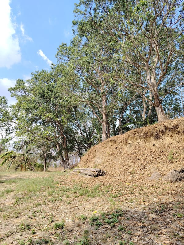 Quiet Sunday afternoon moments captured in Tinaquillo, Venezuela