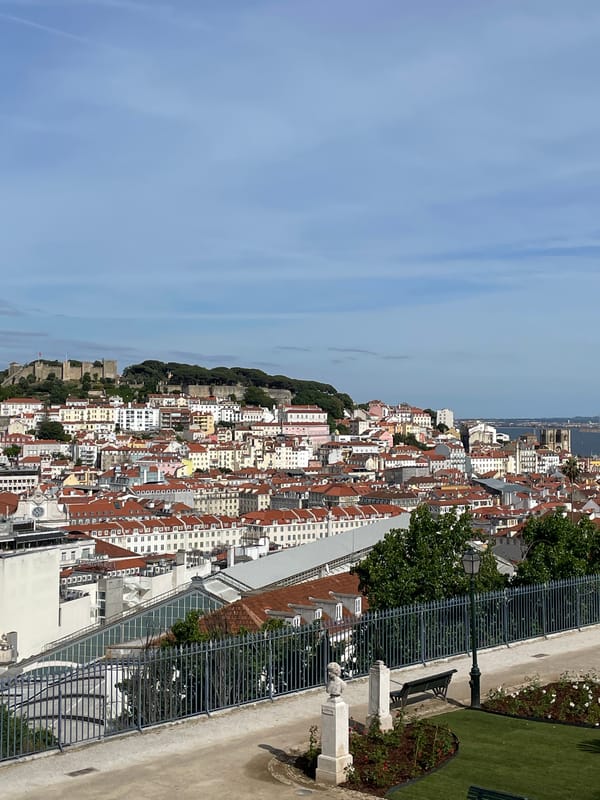 Tourist captures scenic Lisbon views from multiple city vantage points