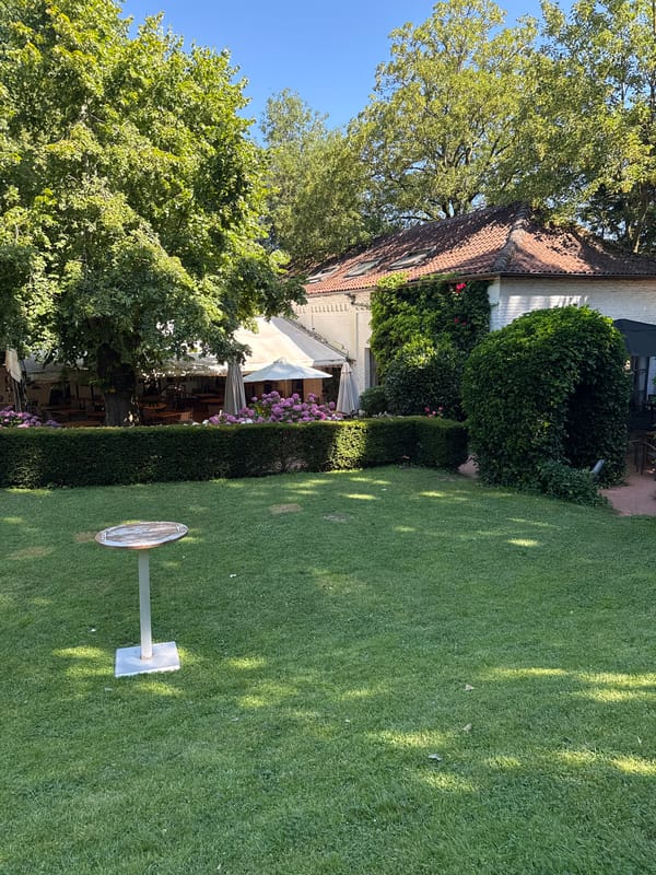 Garden scene with hydrangeas and a statement t-shirt nearby
