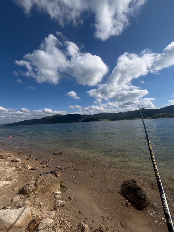 Reservoir views on a sunny morning, fishing rod included