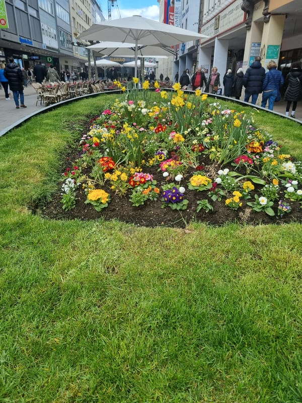 Spring scenes captured in downtown Saarbrücken along river district