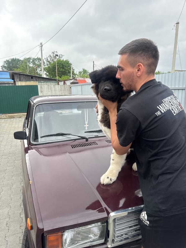 Honda Africa Twin gets roadside maintenance with dogs nearby