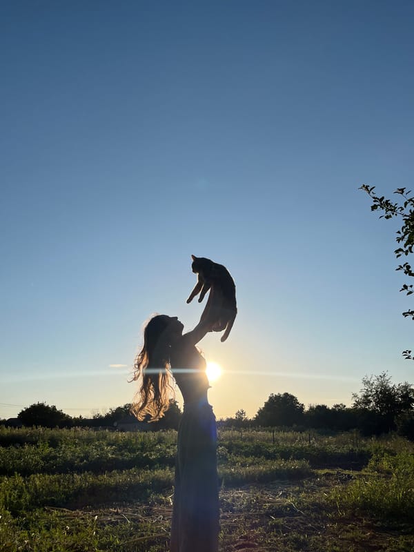 Sunset silhouettes: dancing, a cat aloft, golden backlight
