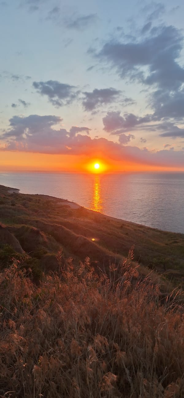 Coastal sunset session from a grassy hillside, multiple angles