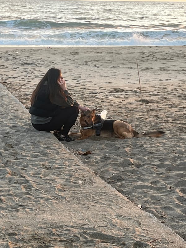 Woman enjoys sunset beach moment with dog in Alanya