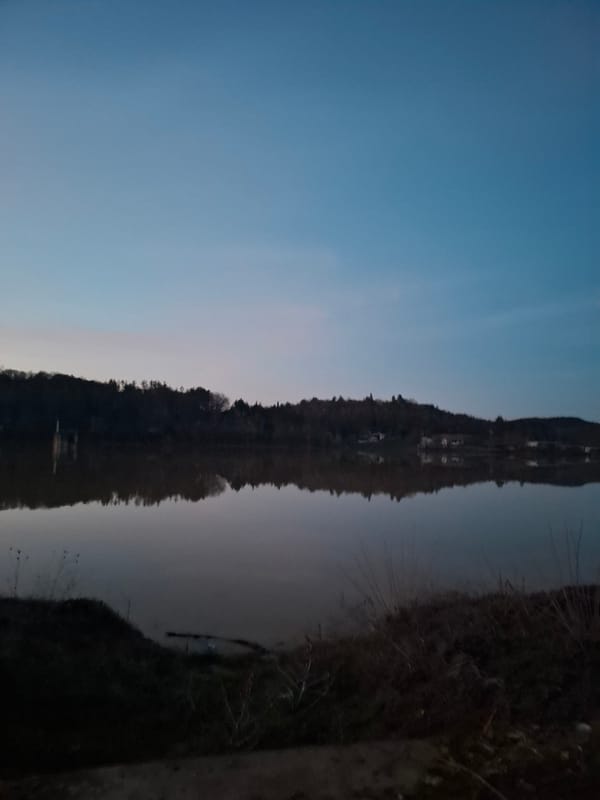 Upside-down landscape reflection captured in water near Strazhitsa