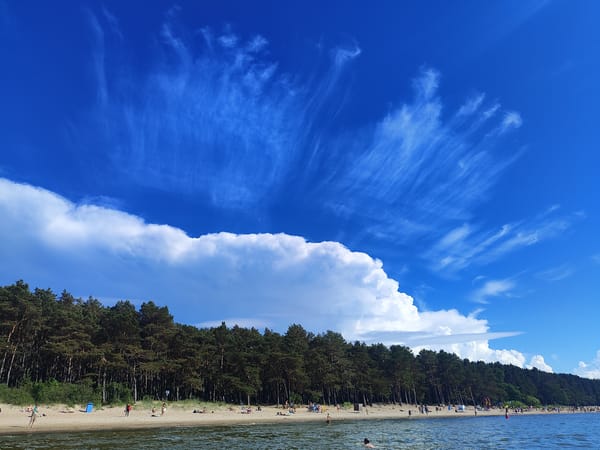 Busy beach day along Tallinn's forested coastline